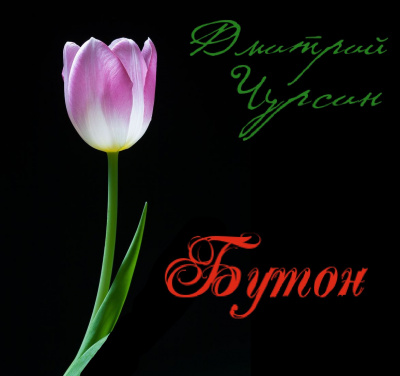 Чурсин Дмитрий - Бутон