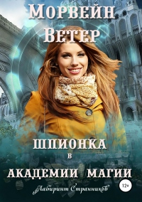 Шпионка в академии магии - Морвейн Ветер