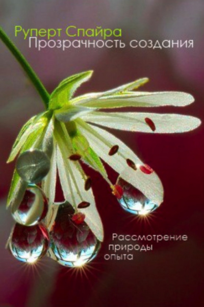 Спайра Руперт - Прозрачность создания