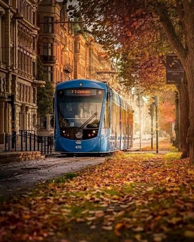 Пищевая цепочка - Александр Грохт