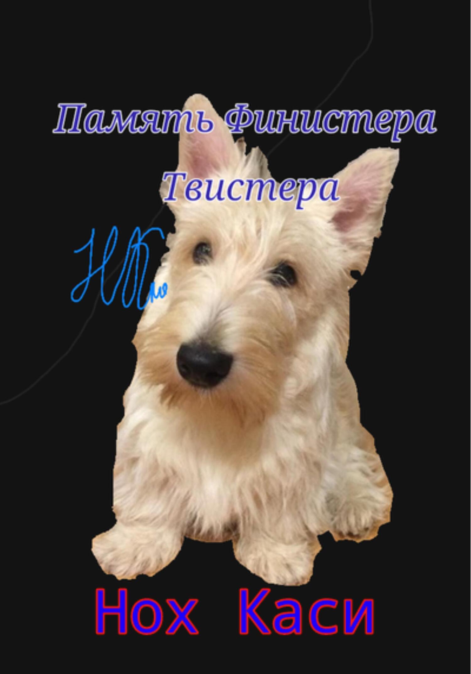 Память Финистера Твистера - Нох Каси