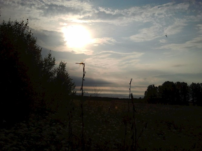 Карл - Клименко Тимофей