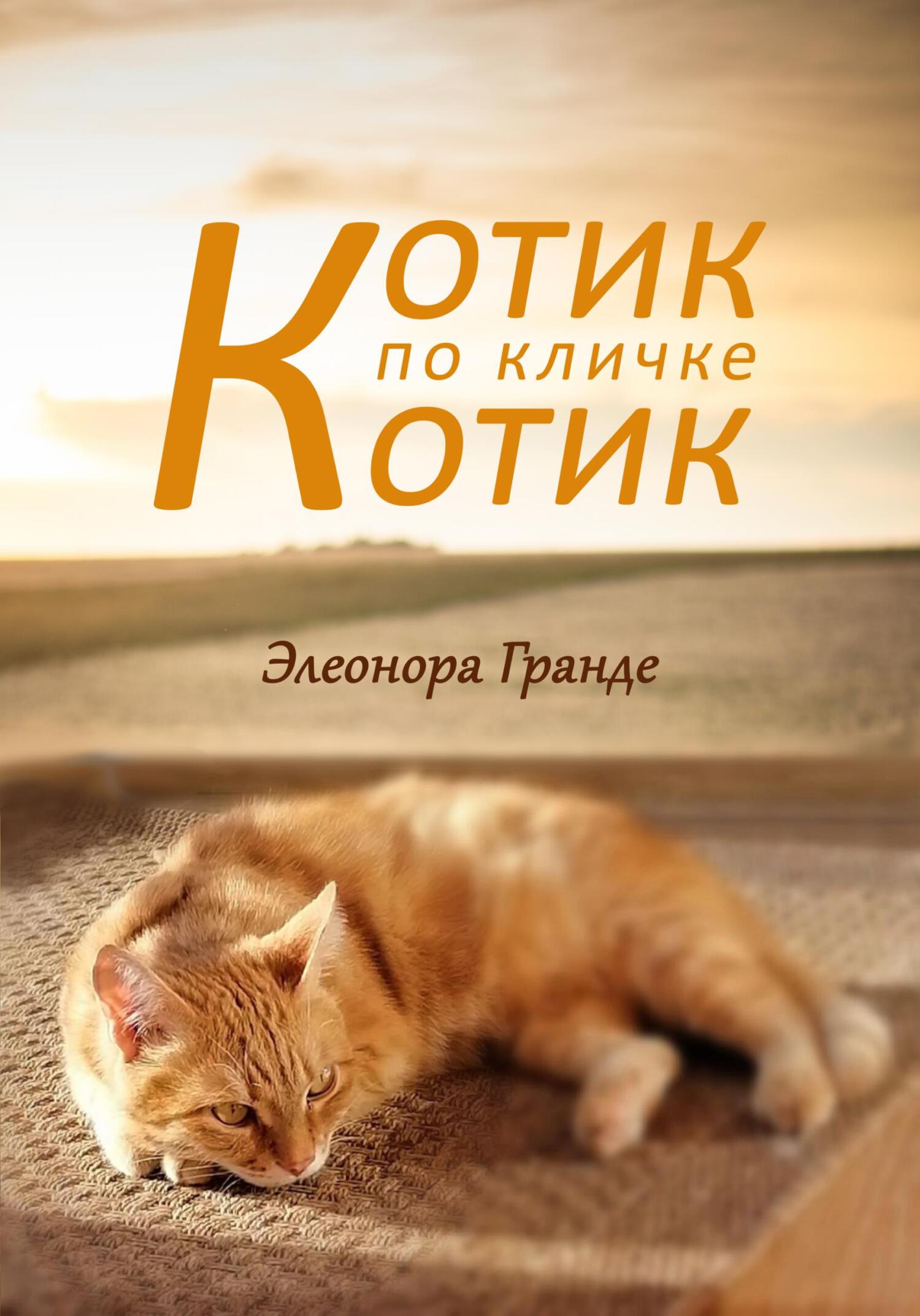 Котик по кличке Котик - Элеонора Гранде