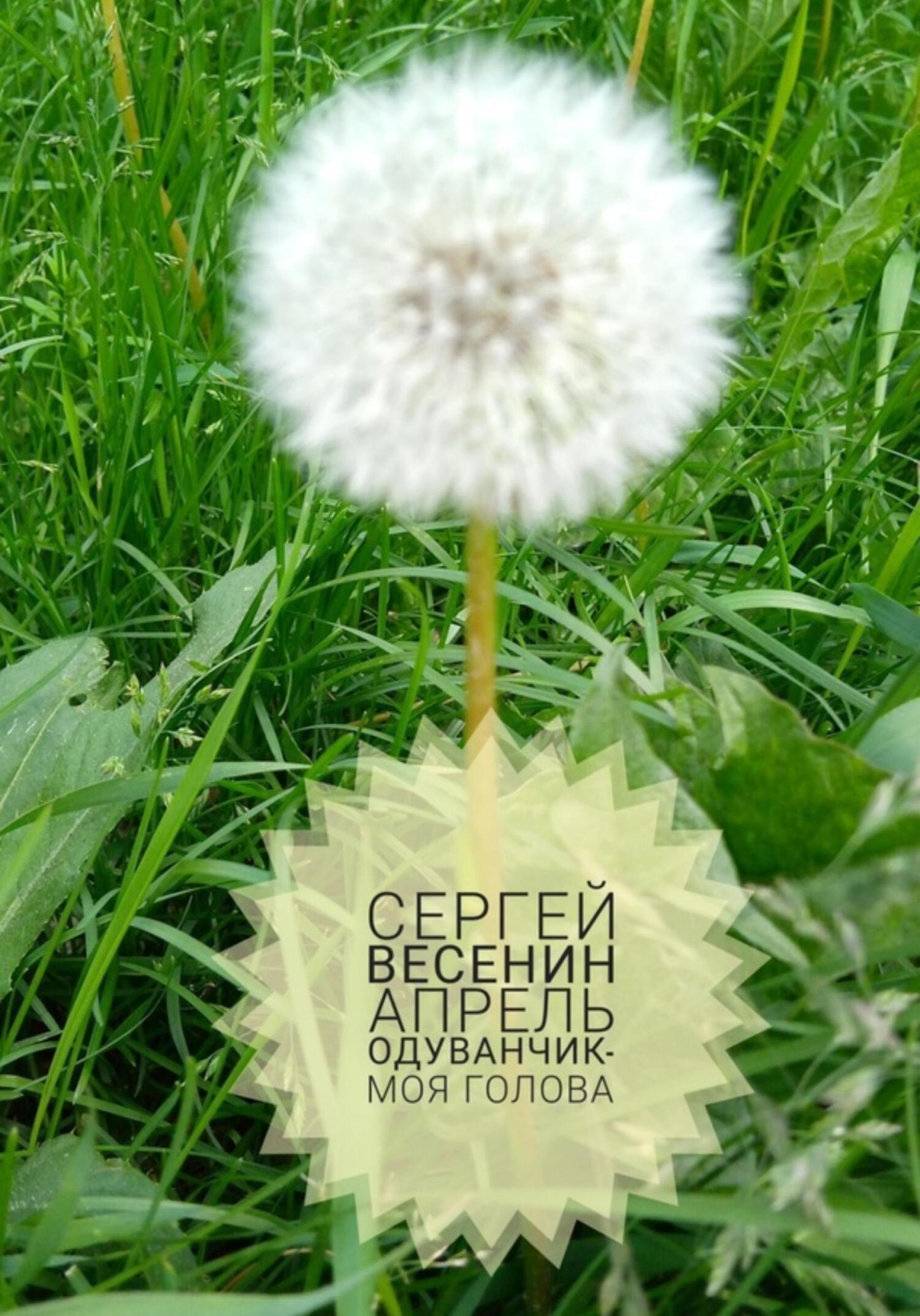 Апрель. Одуванчик – моя голова - Сергей Весенин
