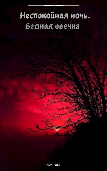 Бедная овечка - Полищук