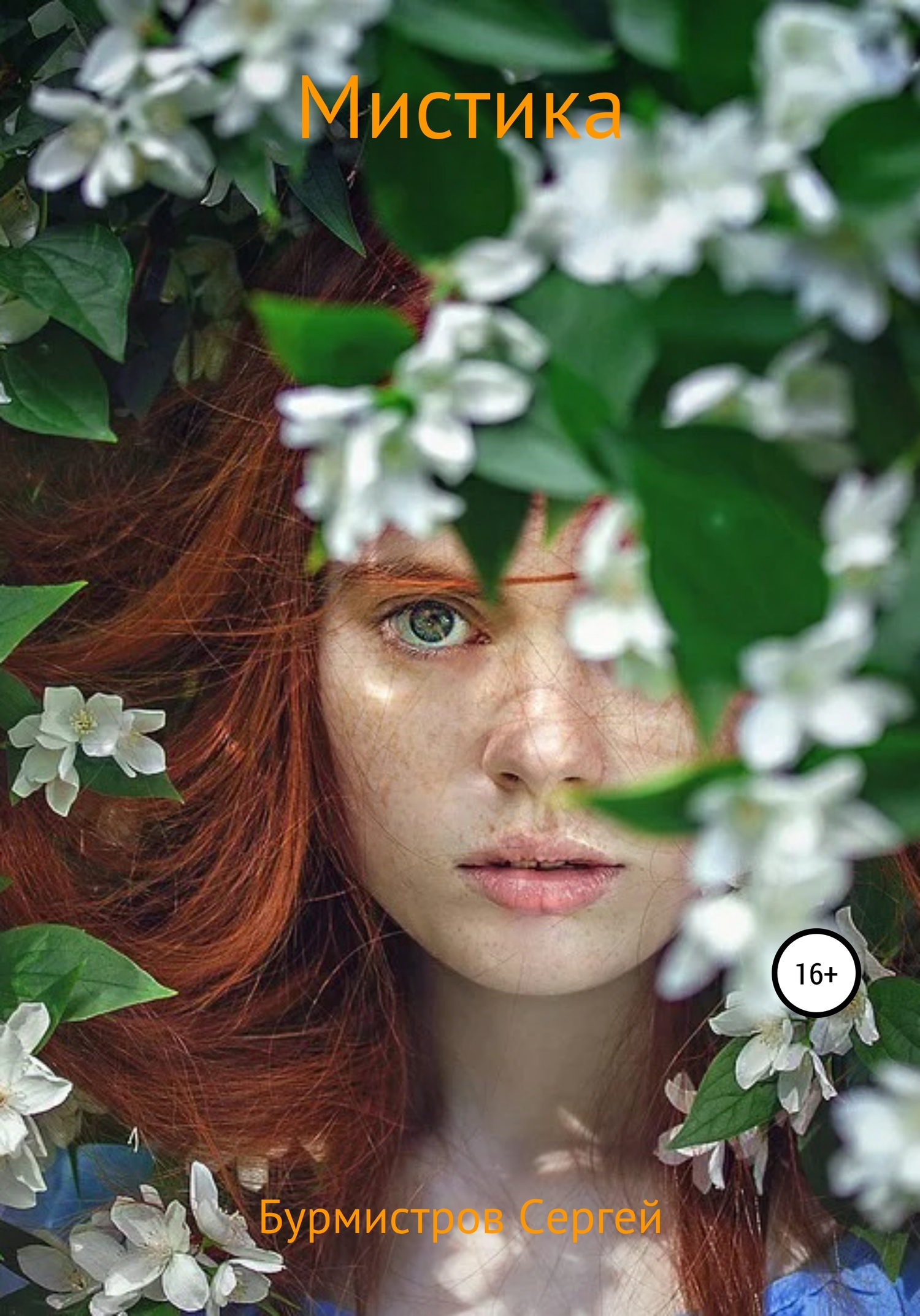 Мистика - Сергей Васильевич Бурмистров