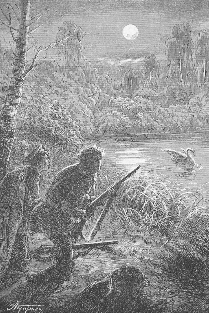 Неудачная охота - Андрей Ефимович Зарин