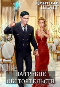 На гребне обстоятельств - Дмитрий Шелег