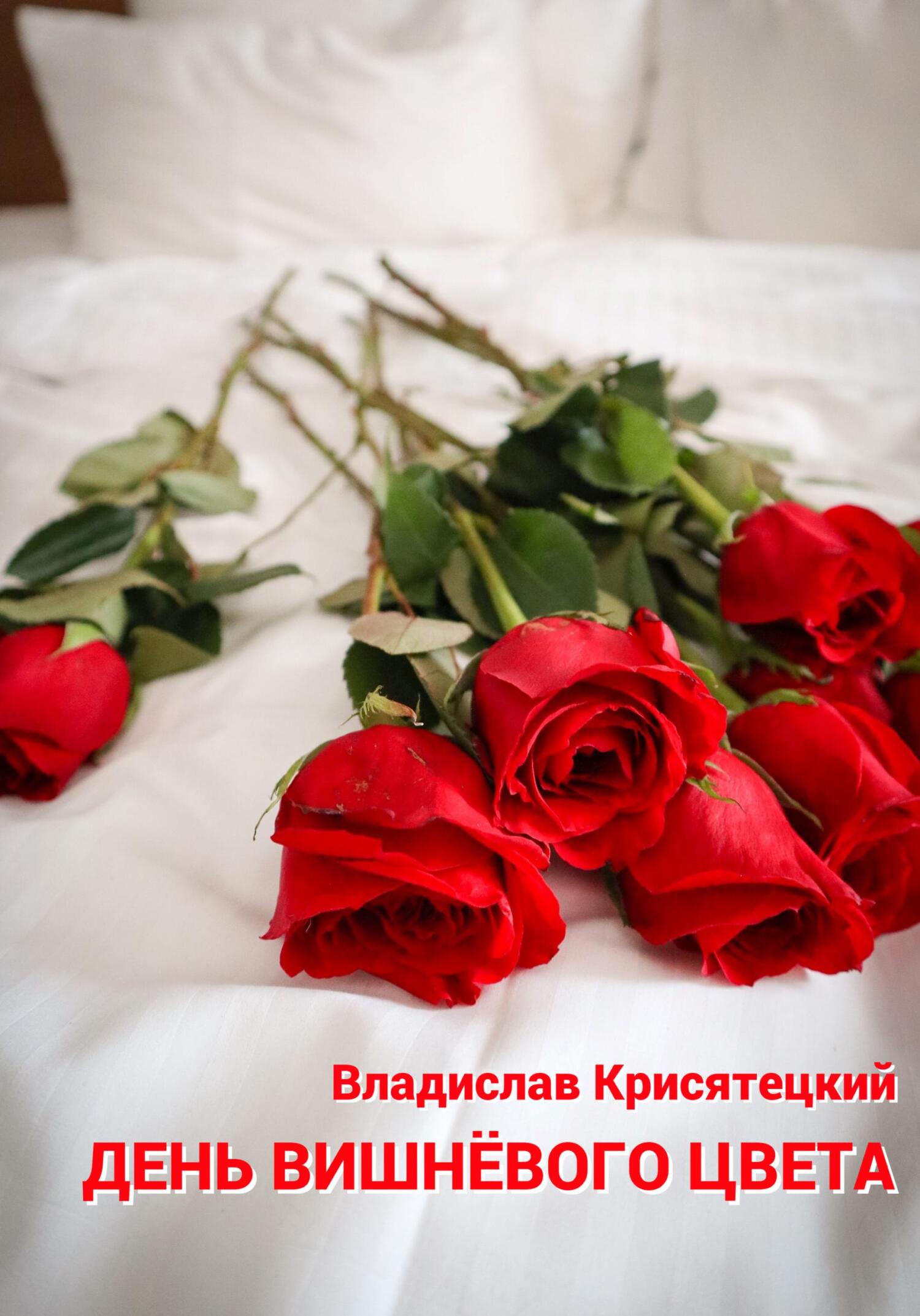 День вишневого цвета - Владислав Крисятецкий