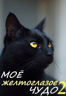 Моё желтоглазое чудо. Книга 2 - Кира Оксана Валарика