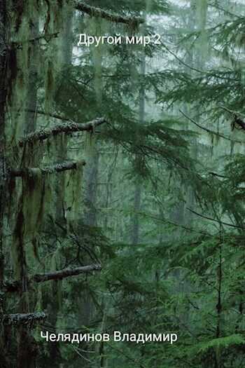 Другой мир 2 - Челядинов