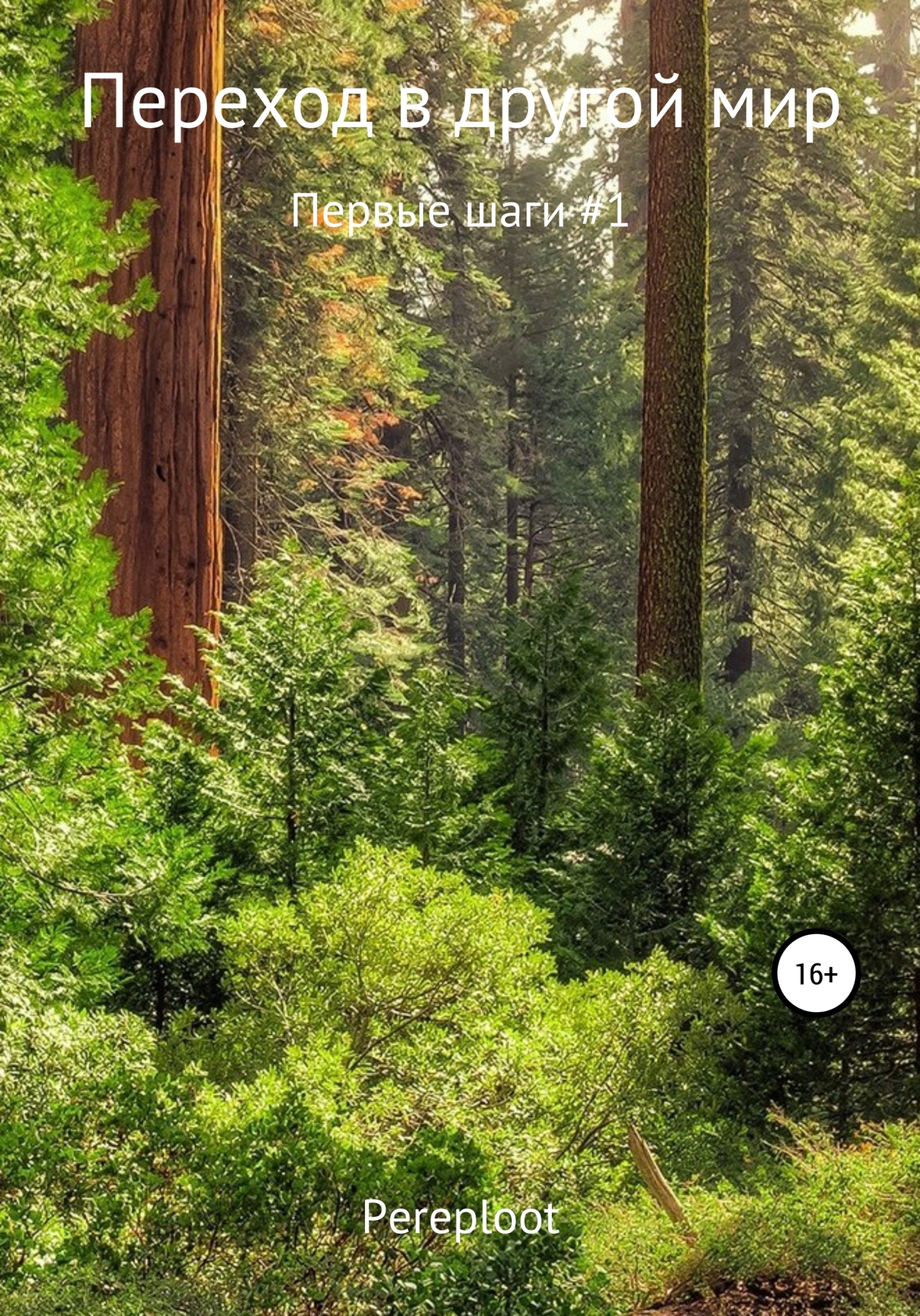 Переход в другой мир. Первые шаги #1 - Pereploot