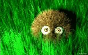 Когда прилетит эсхатудра - Светлана Анатольевна Багдерина