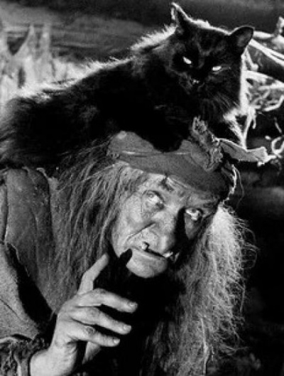 Свидерская Александра - Таких не берут в Бабки Ёжки