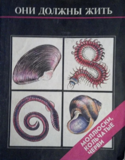 Кочетова Надежда, Парамонова Ирина - Они должны жить. Моллюски, кольчатые черви
