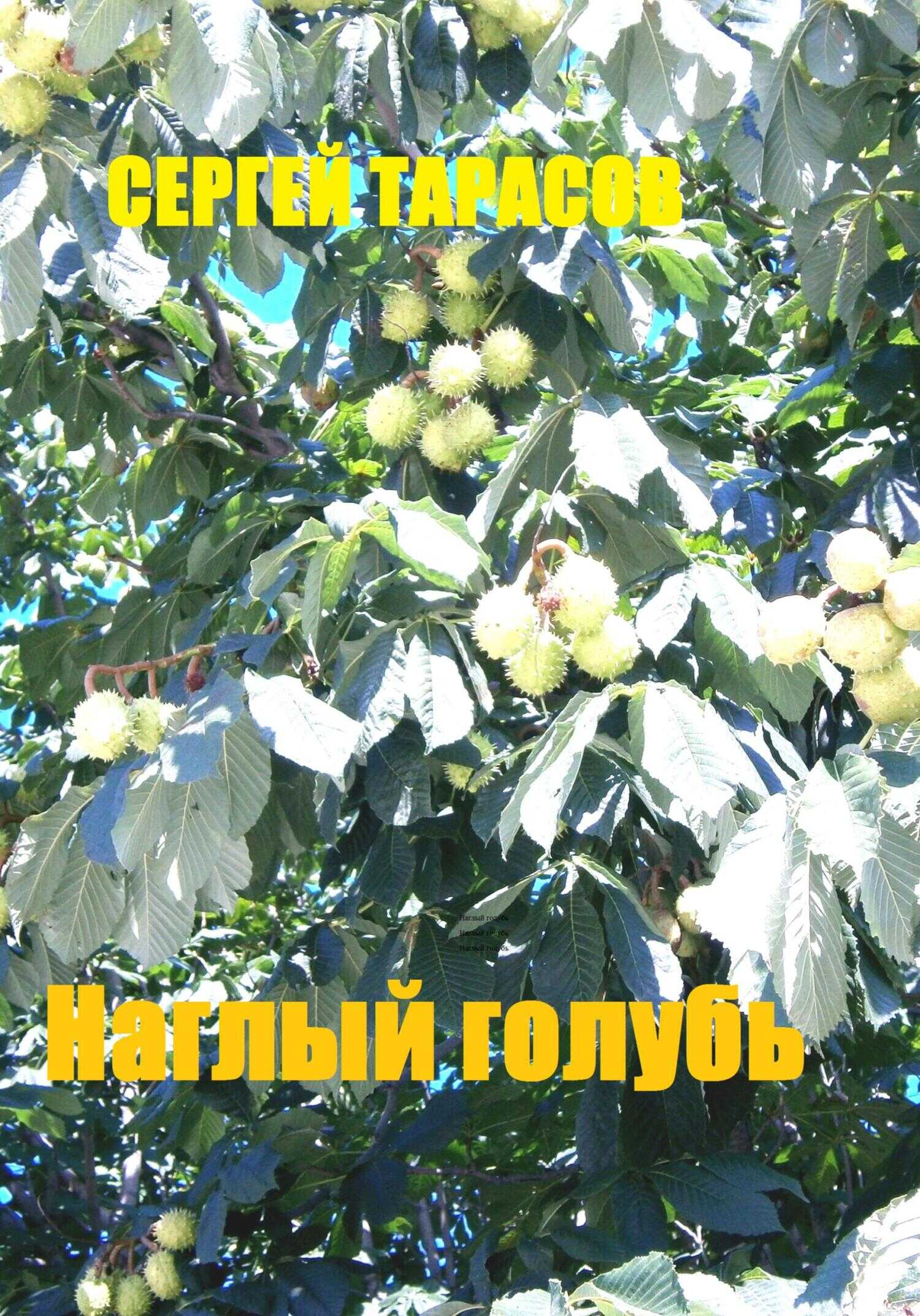 Наглый голубь - Сергей Тарасов