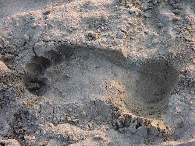 Занесла нелегкая - Ach