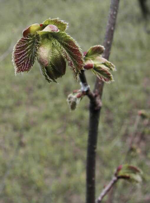 Очерствели? - Ева Светлова