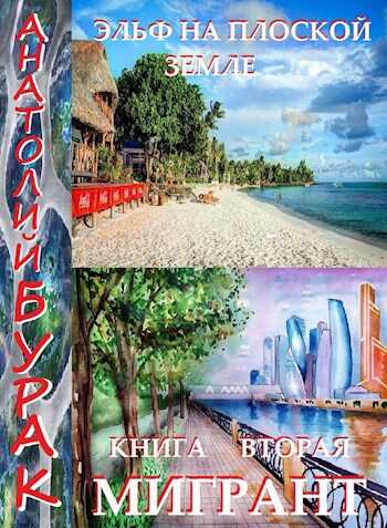 Эльф на плоской Земле. Книга 2. Мигрант. - Анатолий Бурак