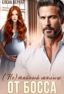 (не)тайный малыш от босса - Елена Верная