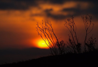 Черкиа Елена – Легенда о звезде Номи