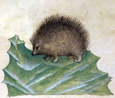 Черкиа Елена – Легенда о Больших Ежах