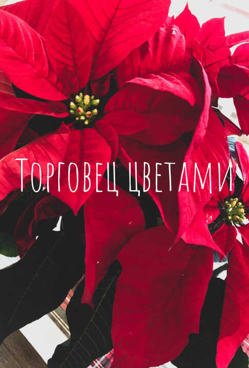 Торговец цветами - YeliangHua