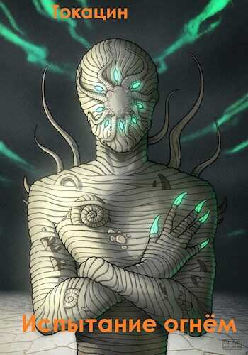 Испытание огнём - Токацин