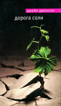 Дорога соли - Джейн Джонсон