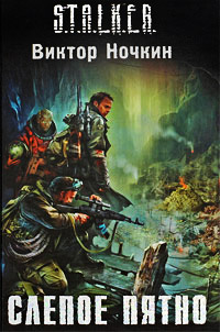 Слепое пятно - Виктор Ночкин