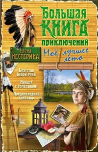 Большая книга приключений. Мое лучшее лето - Елена Нестерина